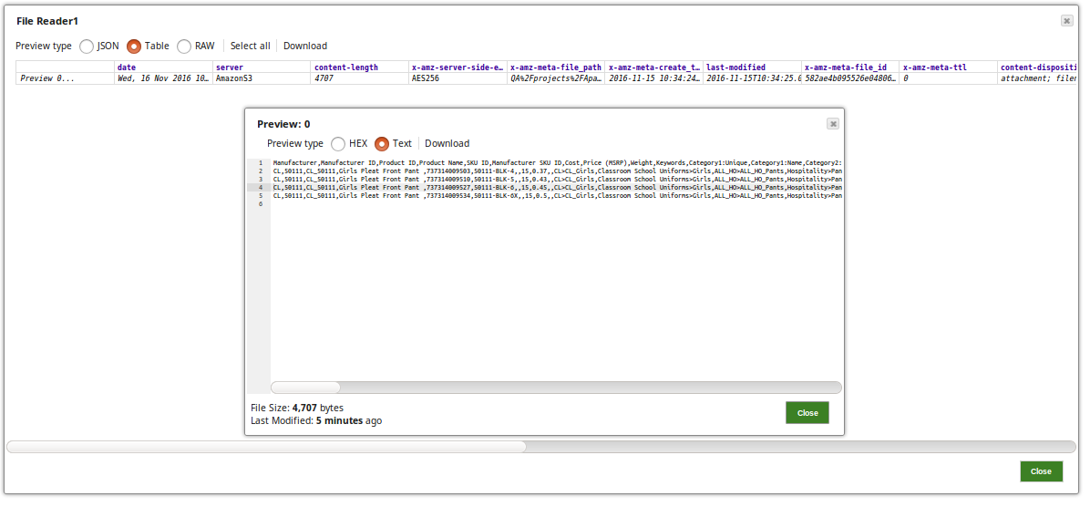 CSV input data preview