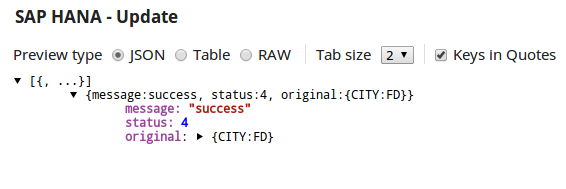 SAP HANA Update Output