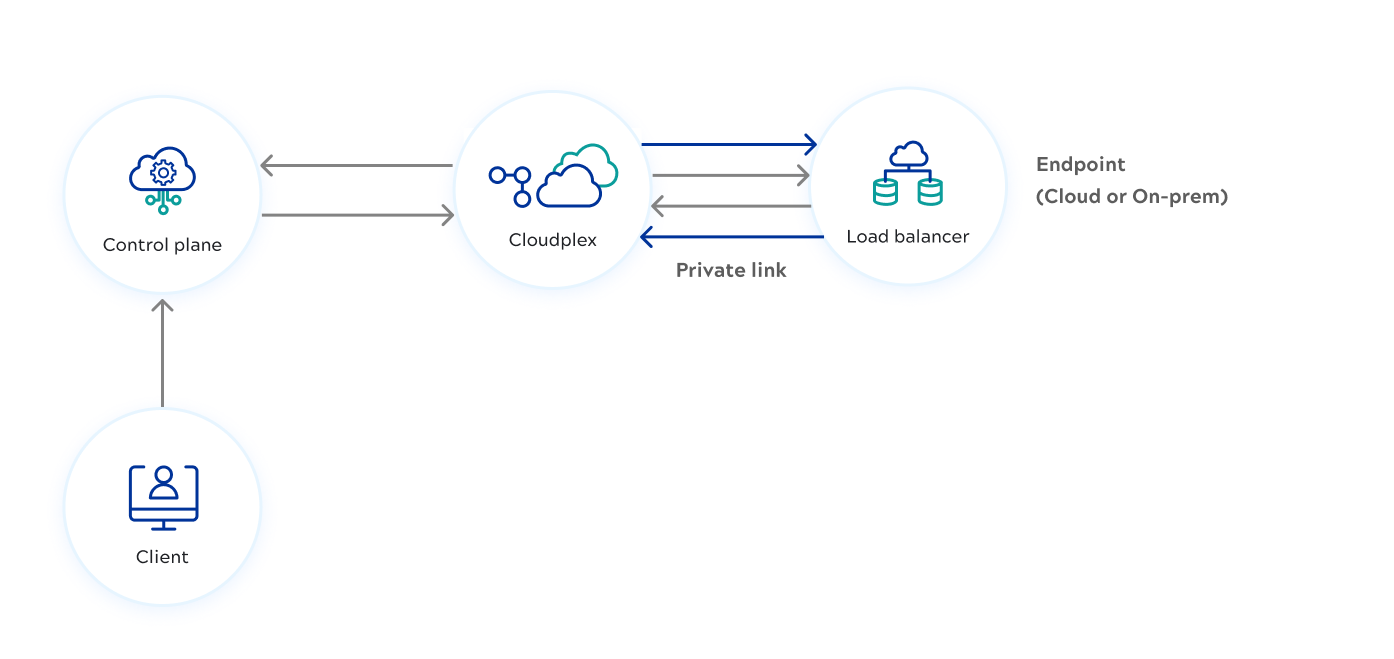 This diagram shows the client contacting the Control plane, communicating with the Cloudplex, which communicates with an endpoint over a private link.