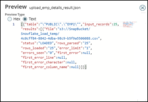 JSON Output Preview