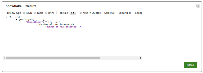 Snowflake Execute Output