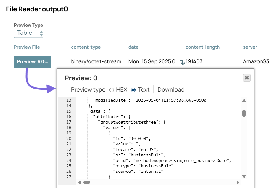 File Reader Snap output