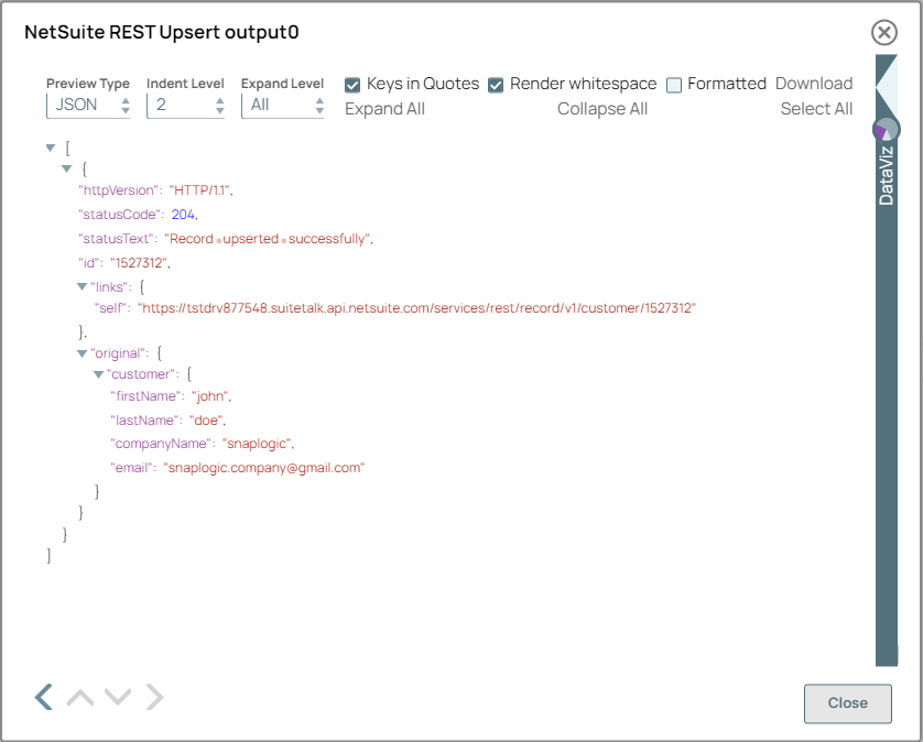 NetSuite REST Upsert Snap output