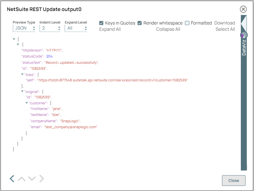 NetSuite REST Update Snap output