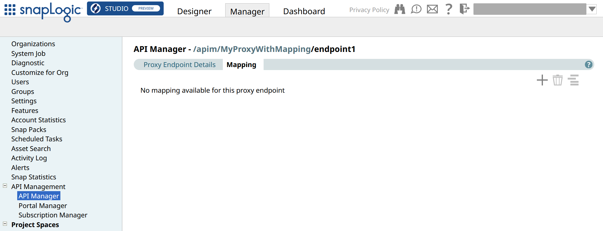 Mapping tab of the Proxy endpoint with no rules
