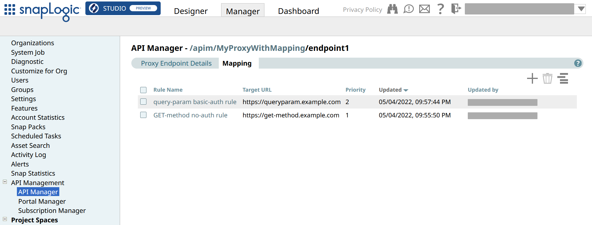 Mapping tab of the Proxy endpoint with rules