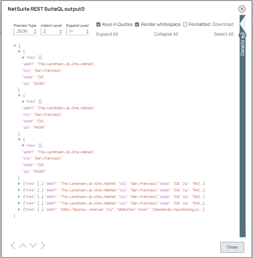 NetSuite REST SuiteQL Snap Output