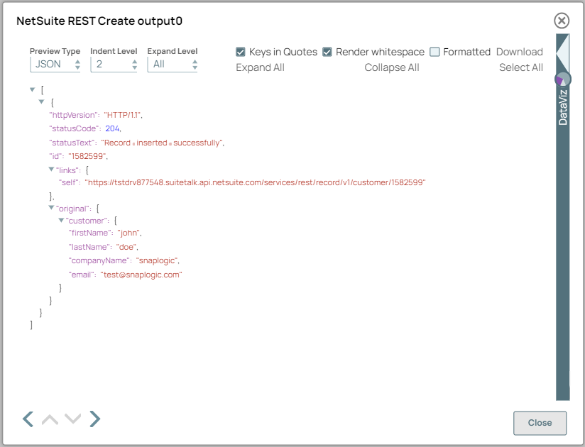 NetSuite REST Create Snap Output