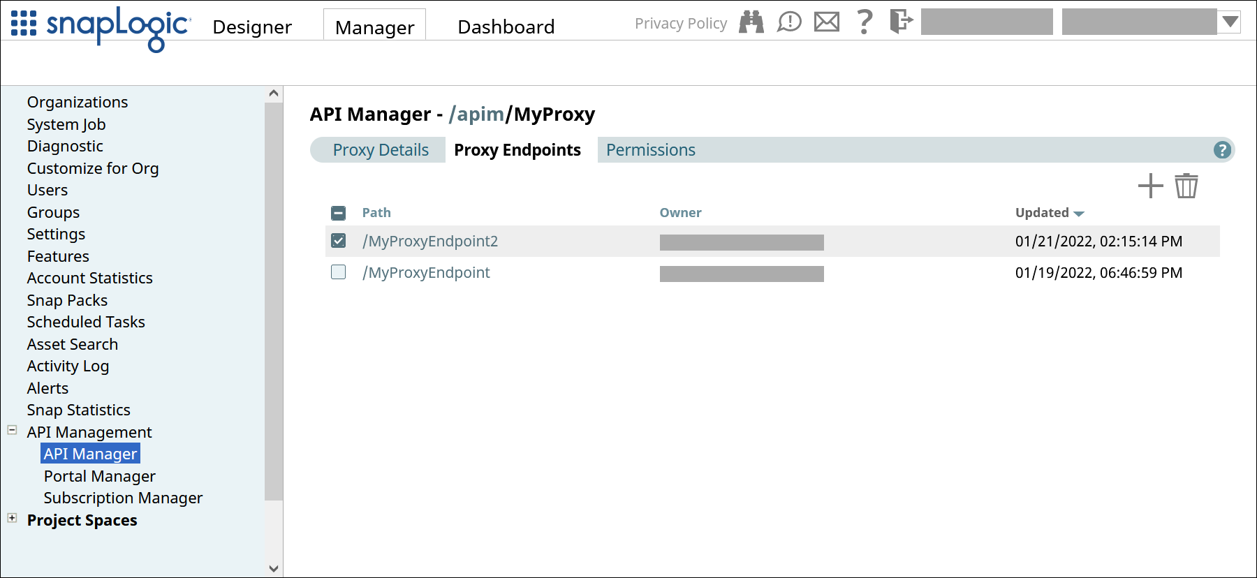 The Proxy Endpoints tab of the proxy in the API Manager