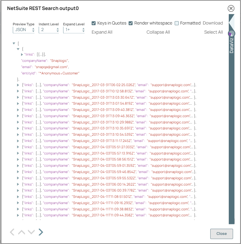 NetSuite Search Execute Snap Output