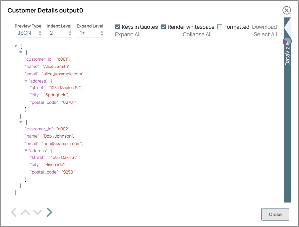 Customer Details output