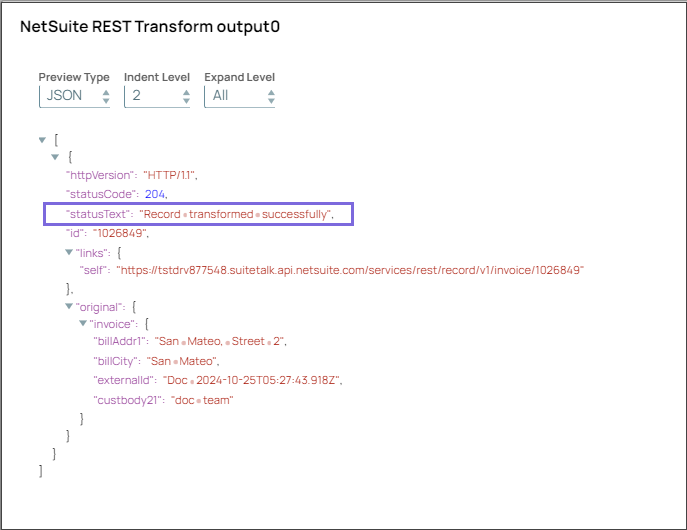 NetSuite REST Transform Snap output