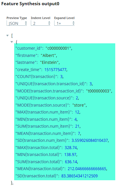 Feature Synthesis Output in JSON