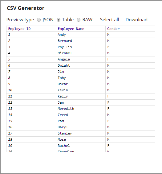 CSV Generator Output