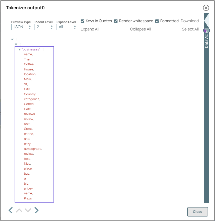 Tokenizer Snap output